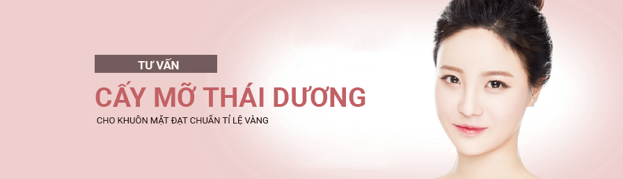 cay mo thai duong